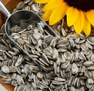 Sunflower Seeds
